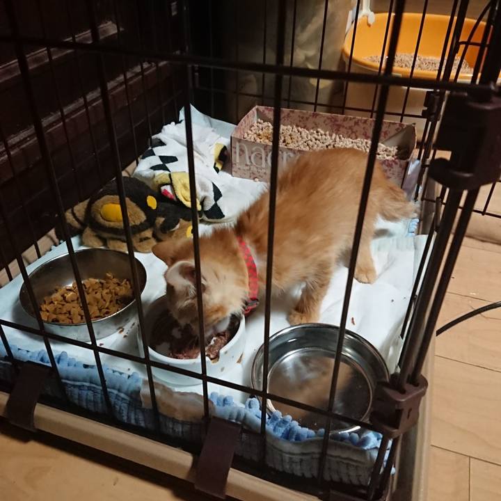 0635706e f0c8 43fb 8468 13bdc8fc5200 1628198956311