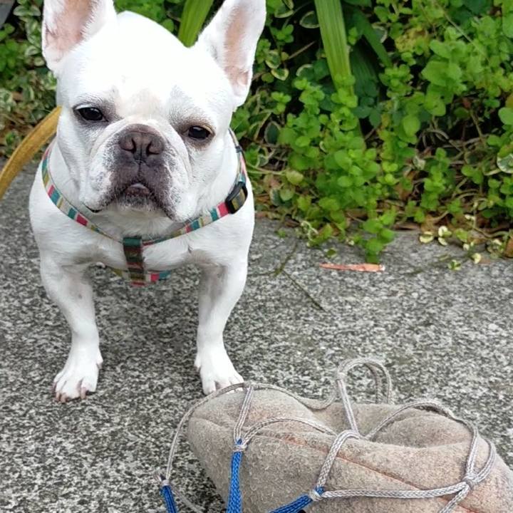 0635f1ea 3e7e 49fe 9101 0afa317f3f44 1661392749772