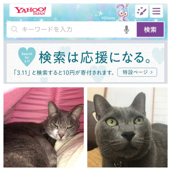 0635fb87 c3f7 4b99 ad08 486ac5ca6384 1520738533046