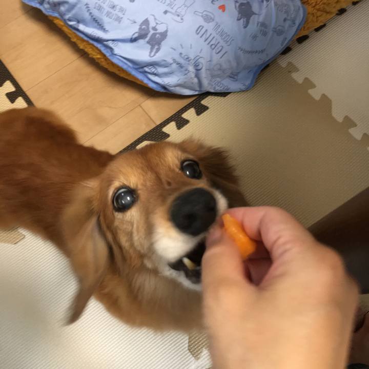 06362aa2 e805 4689 b8dc c2e8bc516206 1624281309290