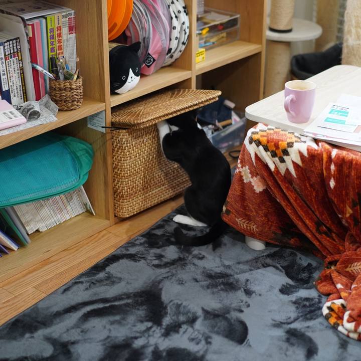 0636435c 18cd 4114 96fb 5a3b3a08c7be 1577284856021