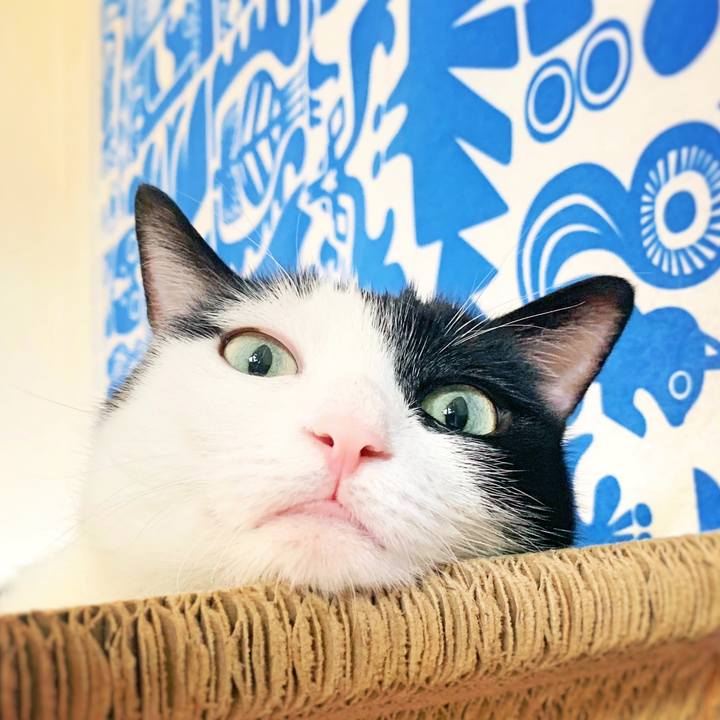 063652f7 ffc4 4f2e 958c b5e5cee7936f 1568244148514