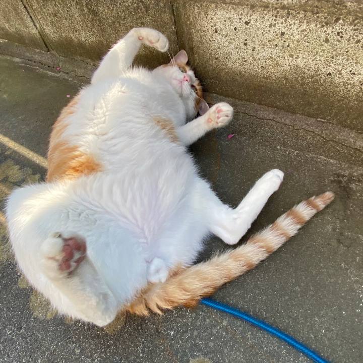 0636577c ad2c 497e 992c cbf1f5b67305 1588422973421