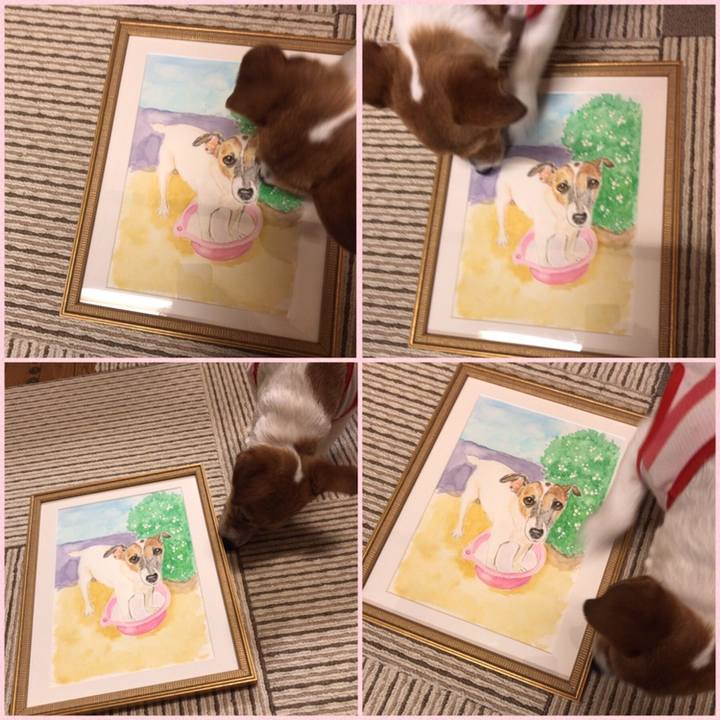 06368de8 3a49 418a bd52 75109577711e 1558350893557