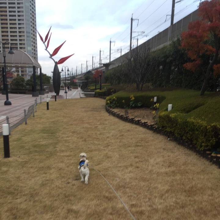 0636bf96 a199 454c 935a fcf3b73d1989 1512127330271