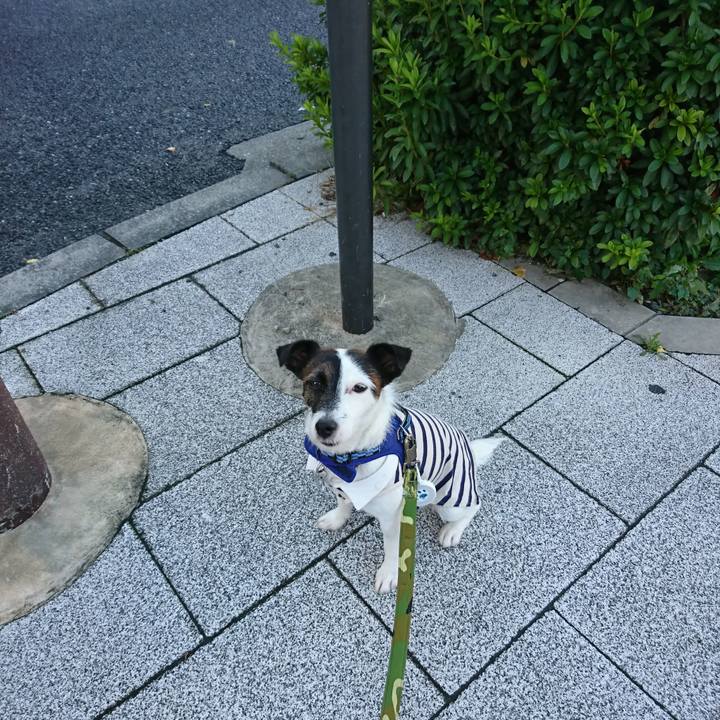 06370fae 305d 4ff9 a9d1 0bb43801e073 1509314619213