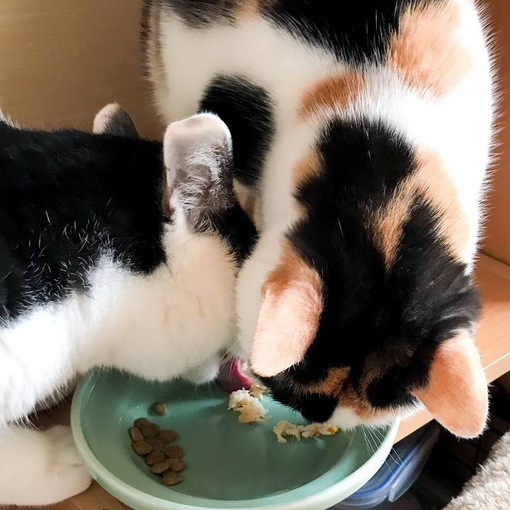 06378e92 6715 4d21 b1d7 67474e8f8cb9 1518396537179