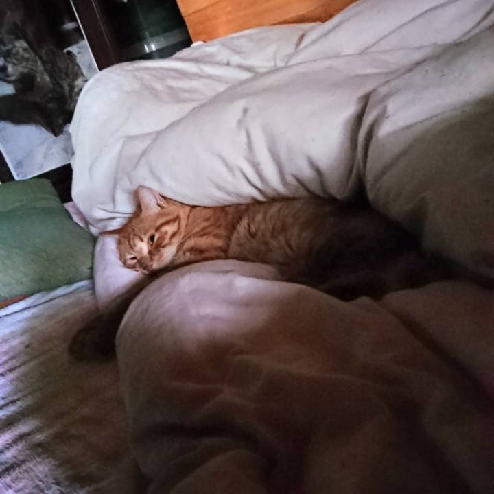 06379a9d e0a0 48c8 8505 0c3e5e39f124 1658264389530