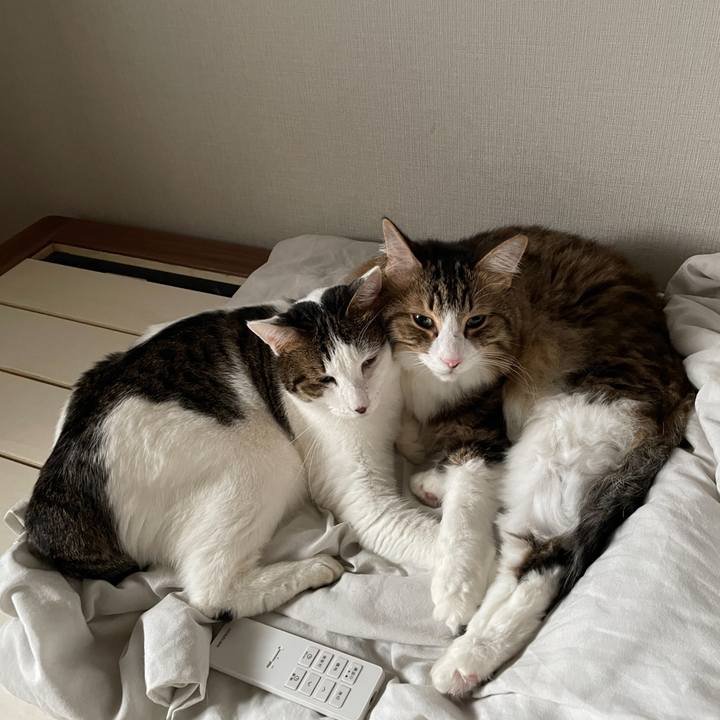 0637b46a 5943 44c7 bbd7 0c5503e95879 1760526427650