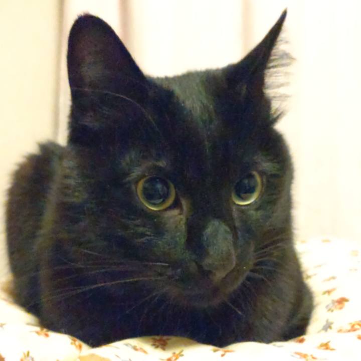 06380ccc fde1 4fb5 8589 ef30245d6a67 1641201841183