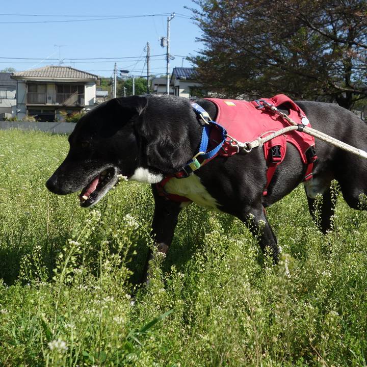 06381596 baff 4d54 bcea 0a690a5d2eeb 1681093095356