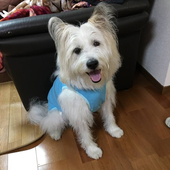 06382eca 78c4 4934 8410 c7910eebe69b 1659956258735