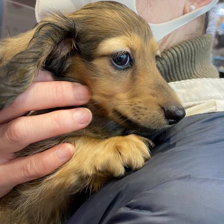 0638543a 9226 42d6 9148 b19c3deba4f7 1609479770675