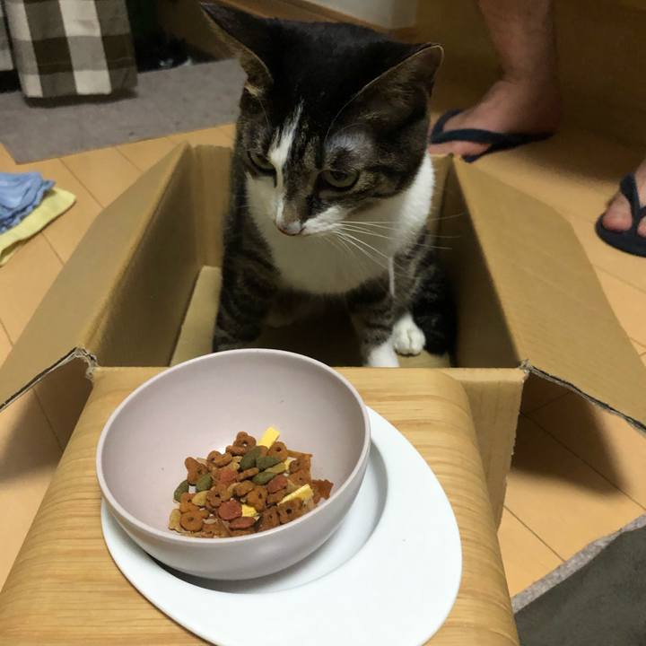 06386ade 242d 4188 ab46 f33229845758 1633295800348