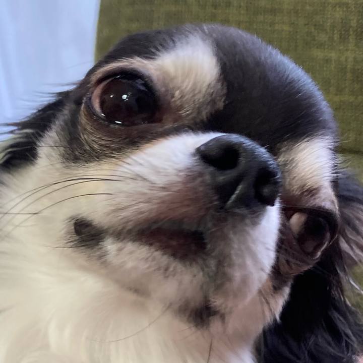 06389cd4 c7ef 4688 a23e aa54acf9e43d 1676817200597