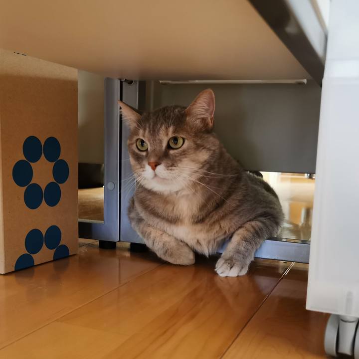 0638a887 d73b 49a3 8b45 b8749bee3377 1657769735077