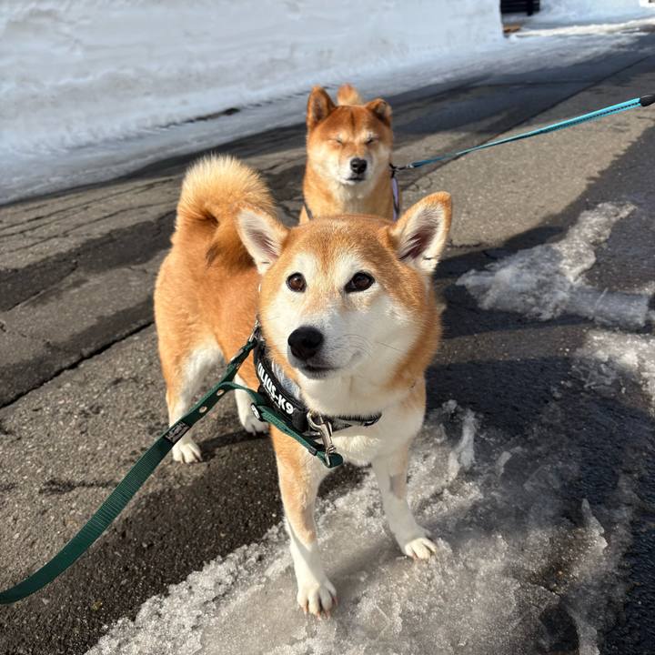 0638cb59 7c0e 48c5 a654 1074caee479c 1771727612841