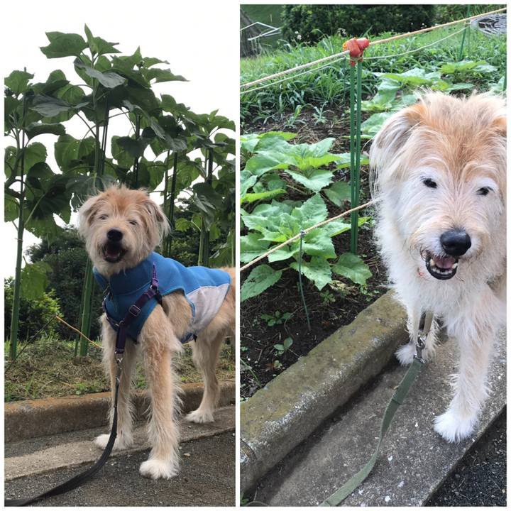 0638d8e4 8604 49bf 828e 174a30756065 1626075540675