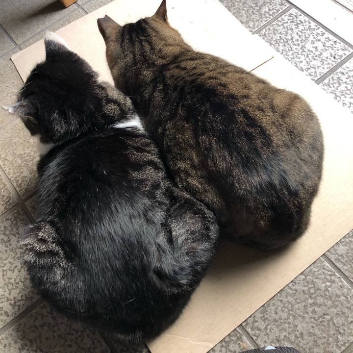 0638f5ca 5f2f 4e1f 9d8b 63f5f4a75c9e 1606872019980