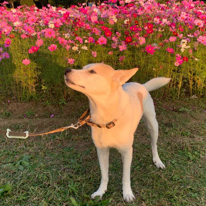 06393956 4fe9 4c36 9b94 e82c13d31469 1698576452478