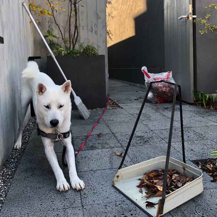 06395c0e 9007 4afc 996b 0296d72e1682 1541412216946