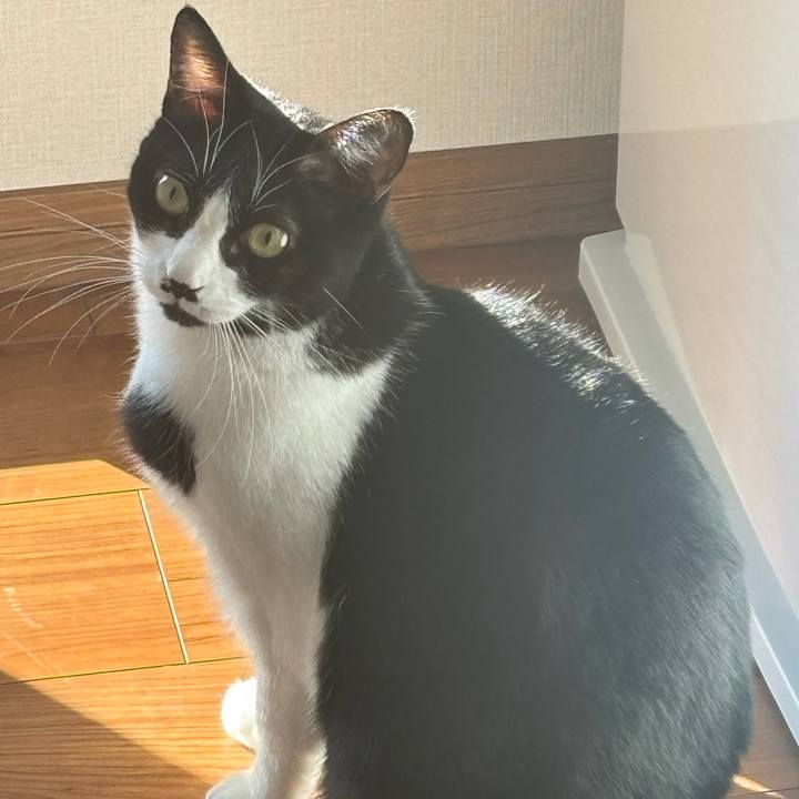 0639634a 81ac 48f8 b9ef 697657995787 1767755777200