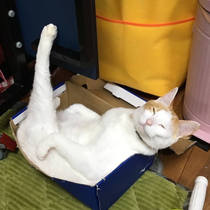 06398b13 c36c 4869 93e8 672435e68532 1544706856309