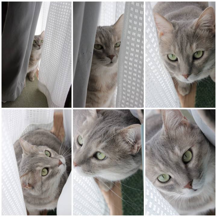 06399b37 ca9d 4993 9370 e5f68cc89d65 1658113395351