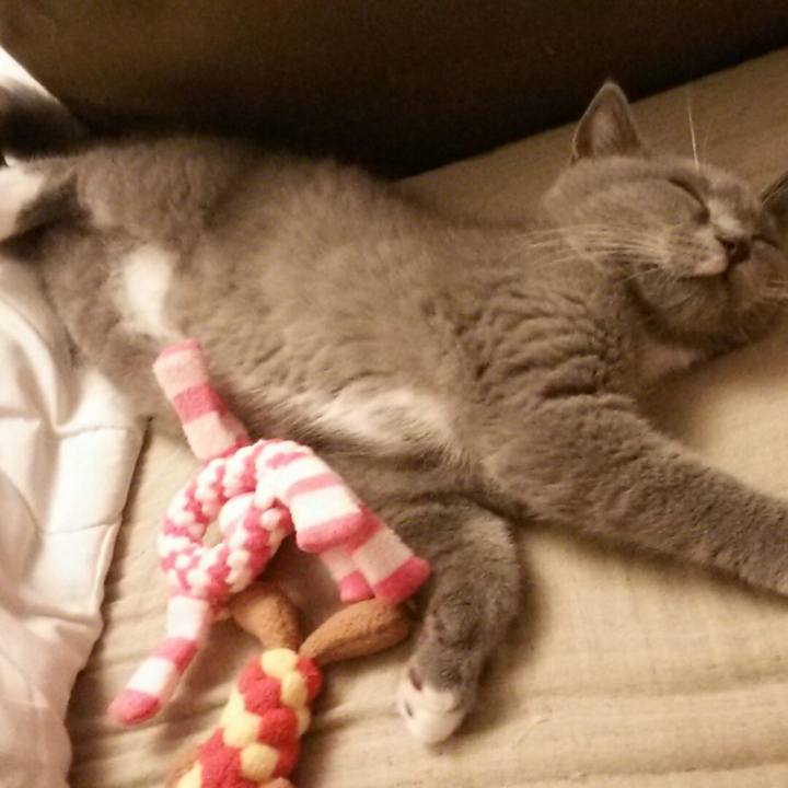 0639bcce f65d 40f1 89e7 0b7fb1651430 1532781074957