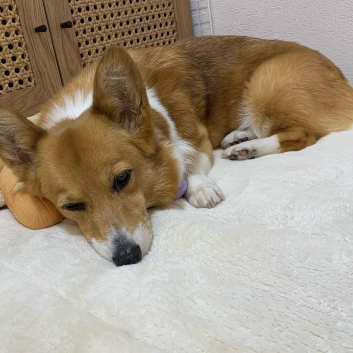 0639bd58 f97c 4c35 9596 99ffec59365b 1717042907019