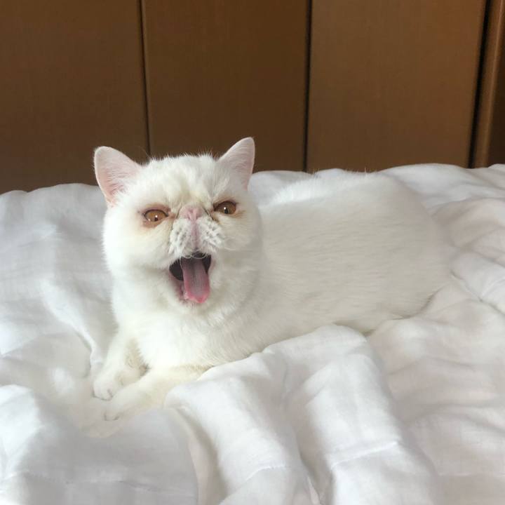 0639e643 1efc 43fb 9a68 9a4b785a36fb 1594451876734