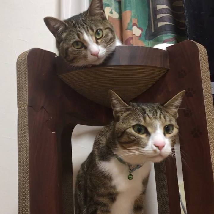 063a23a6 cfc7 4bf9 92ad cecc782faad4 1665501949075