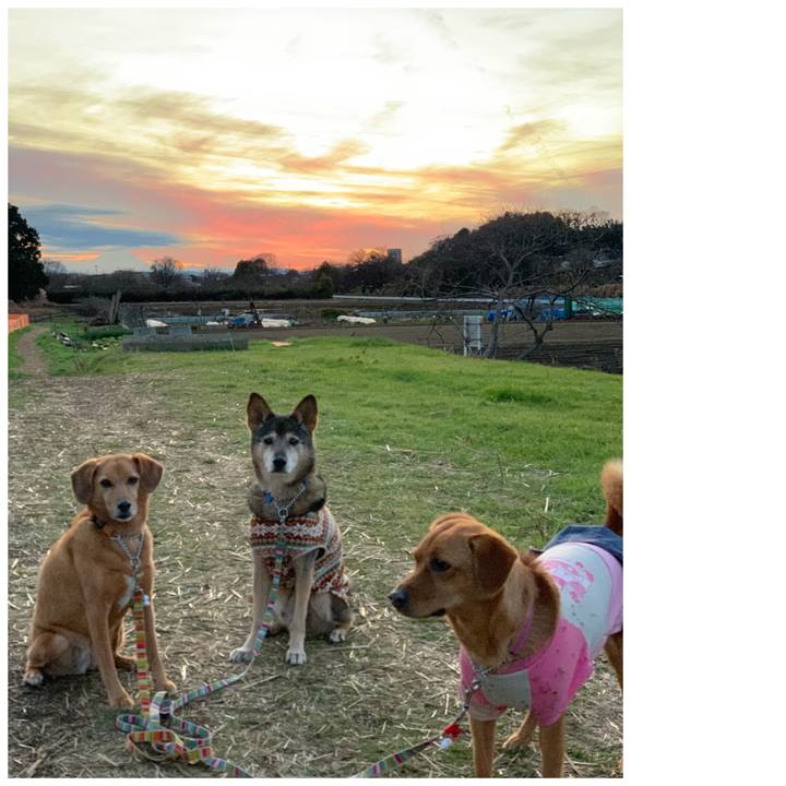 063a2b60 5f06 442a bb78 6f71ee85cd18 1577174319434