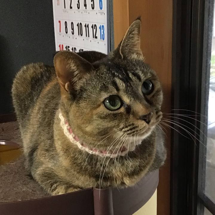 063a337d 117d 49e2 8cf1 2be923a00d11 1713781240634