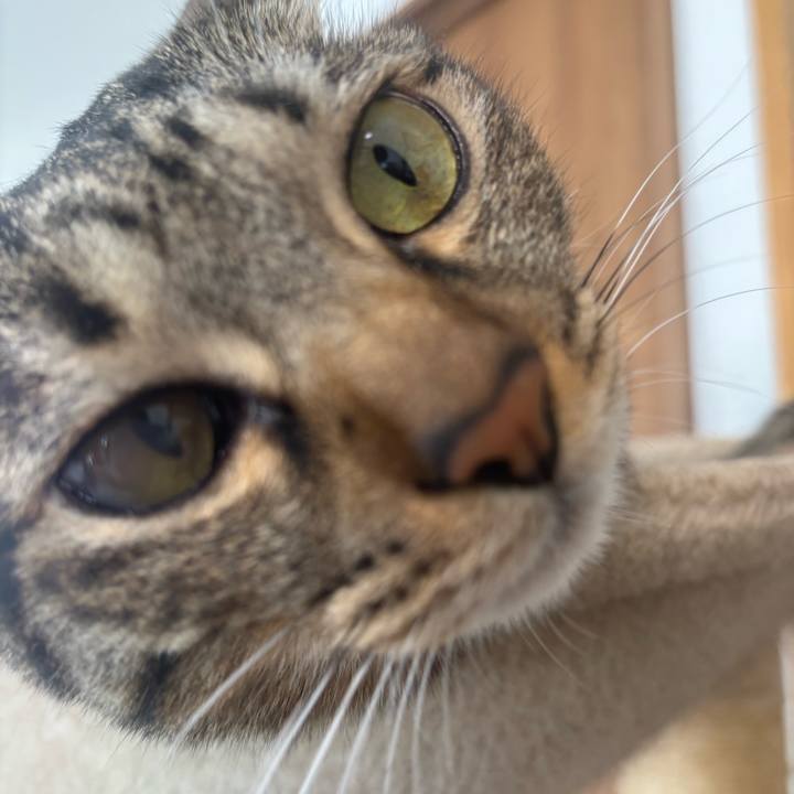 063a83d2 07cb 45cc b3cc ce5a99c7e88f 1763176214376