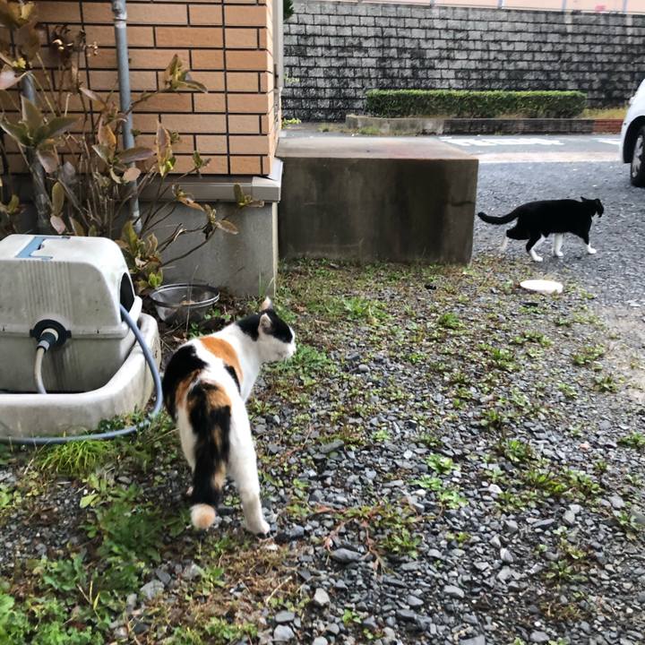 063a8941 5d94 4707 b769 f4d12e1aa067 1603405353664