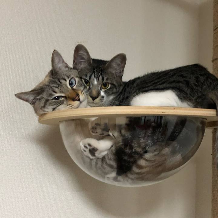 063afbd1 898a 45c3 84ca 70577c9aaf3c 1643546504500