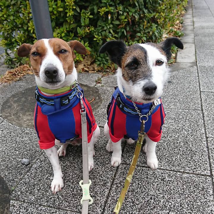 063afe3f 84ba 472f b931 a7ab90332ea0 1611702536482