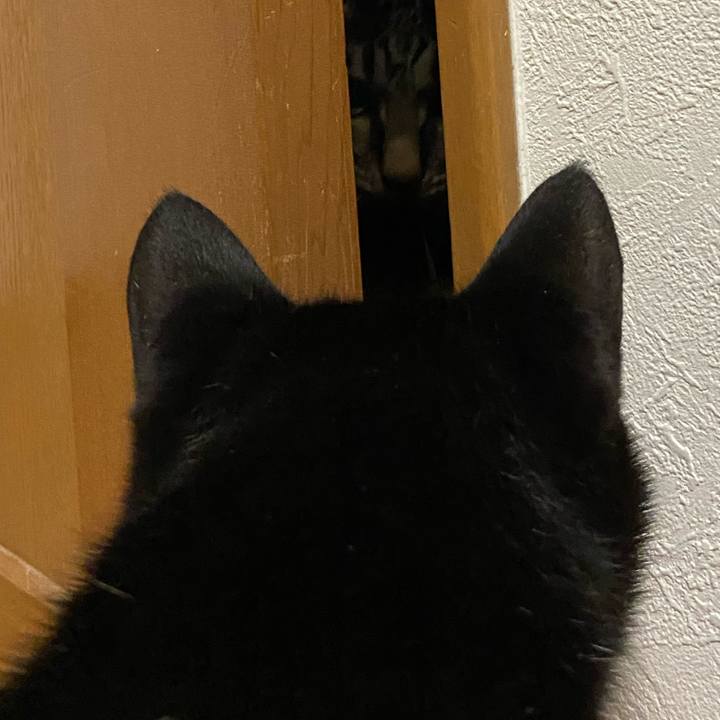 063b00f2 98e6 49cc 86f7 2b88e23c1ce1 1632732342162