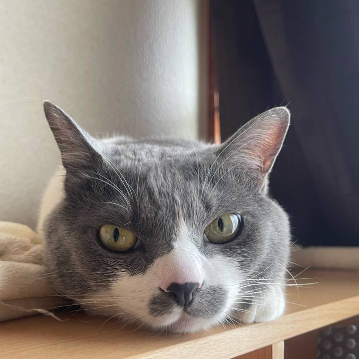 063b2abb a18d 4f65 94b5 e2c66c0a62ee 1747788469297