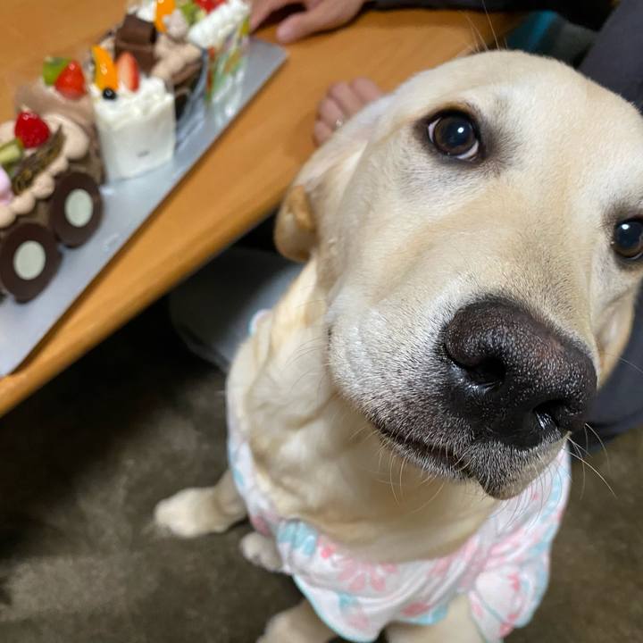 063b305c 1eab 4a7b a5ec c294a67ed03e 1620216853862