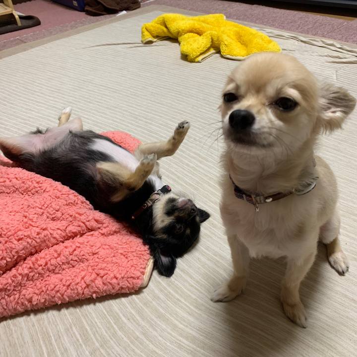 063b49ff ee84 4930 a038 4aaf64e12816 1601037392045