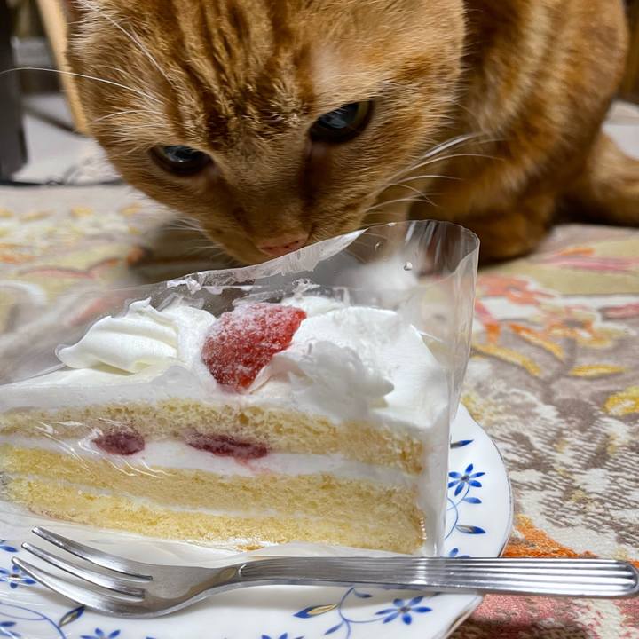 063b9773 37c0 408e a0c3 258ce626aa24 1671885227555