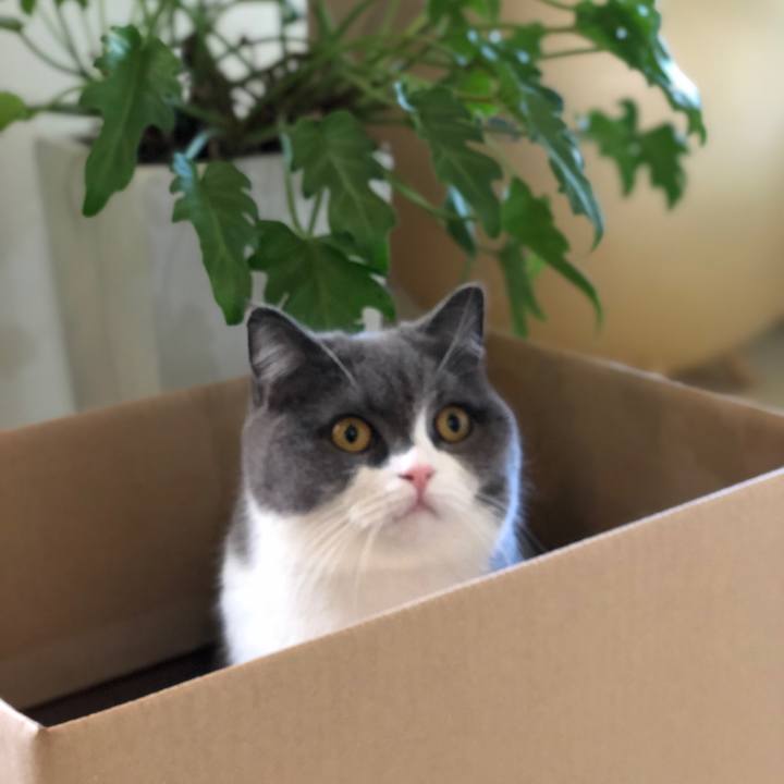 063bb174 d836 4ae0 9e7f 4e3cf4a1bf15 1552042059344