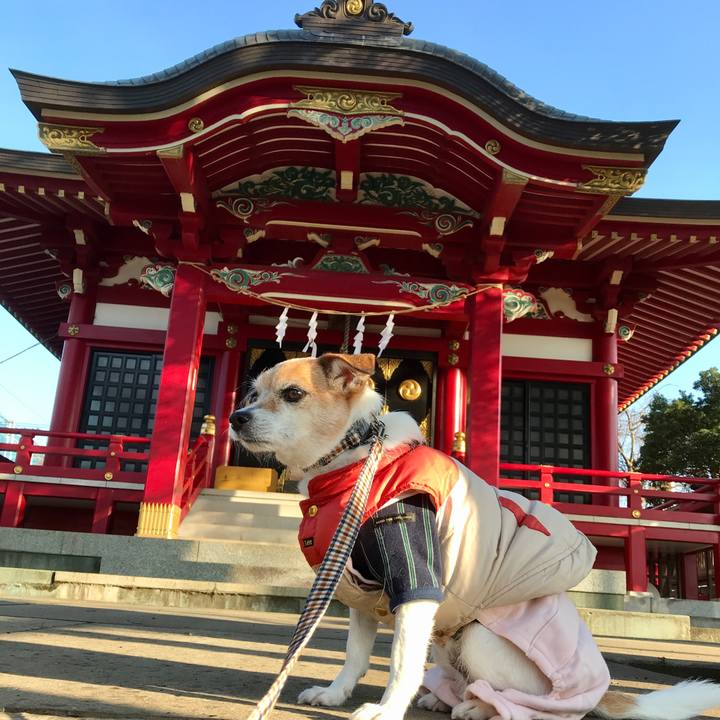 063bd469 b354 48f2 8e7f 5da8370f36a6 1610955153015