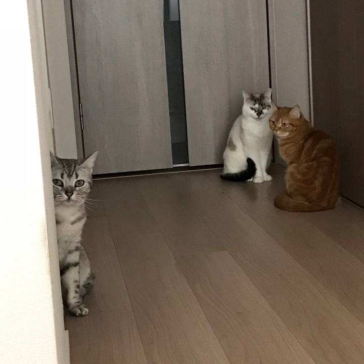 063bfbdb fbe5 4ce5 ab1a d345674f87b6 1526096546286