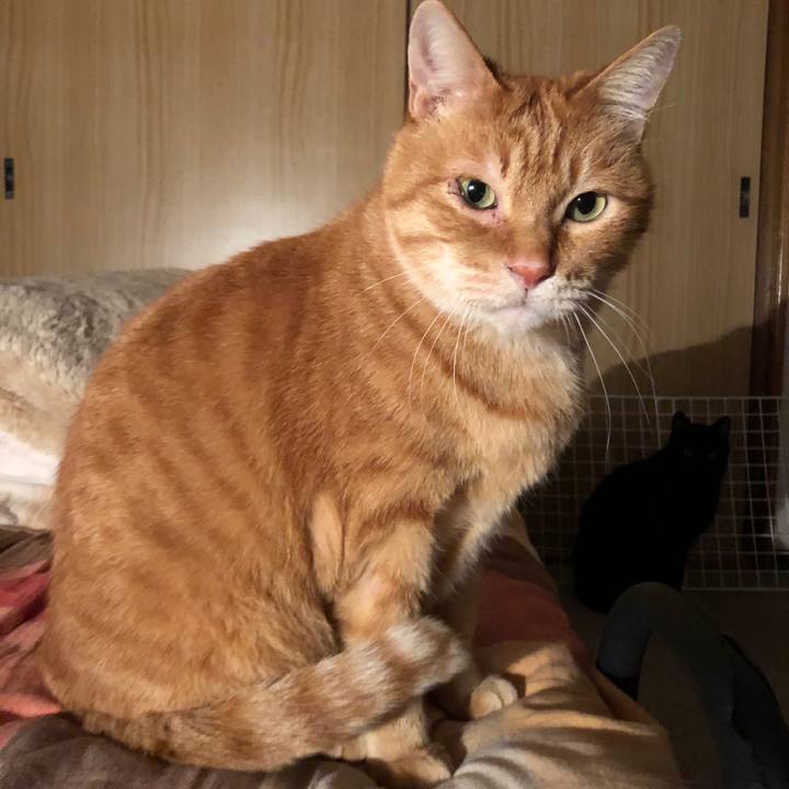 063c8802 82bf 45c8 98f2 519e428df8dc 1672317005912