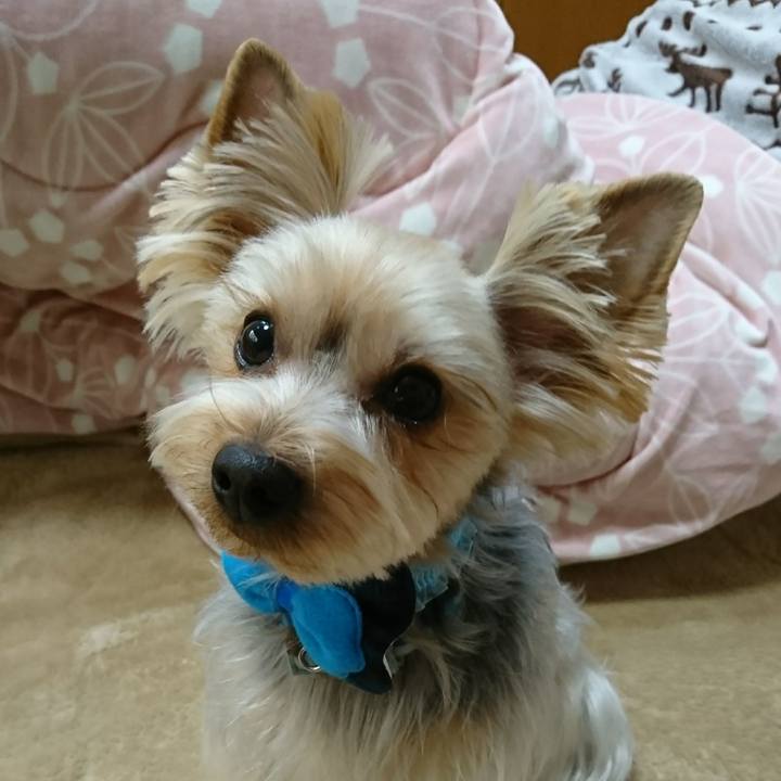 063ca685 cf6d 417f 9df4 a135da429a6d 1519426570476