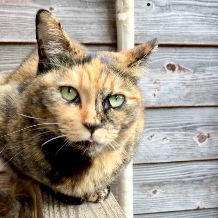 063cc0d5 cc34 45ec 80b5 79199f2772ce 1731123706762