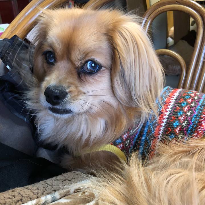 063ccbe4 91c8 41f8 af69 38452c5bf12c 1554015617119